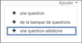 madoc:39-ajouter_des_questions_dans_un_test_aleatoire.png