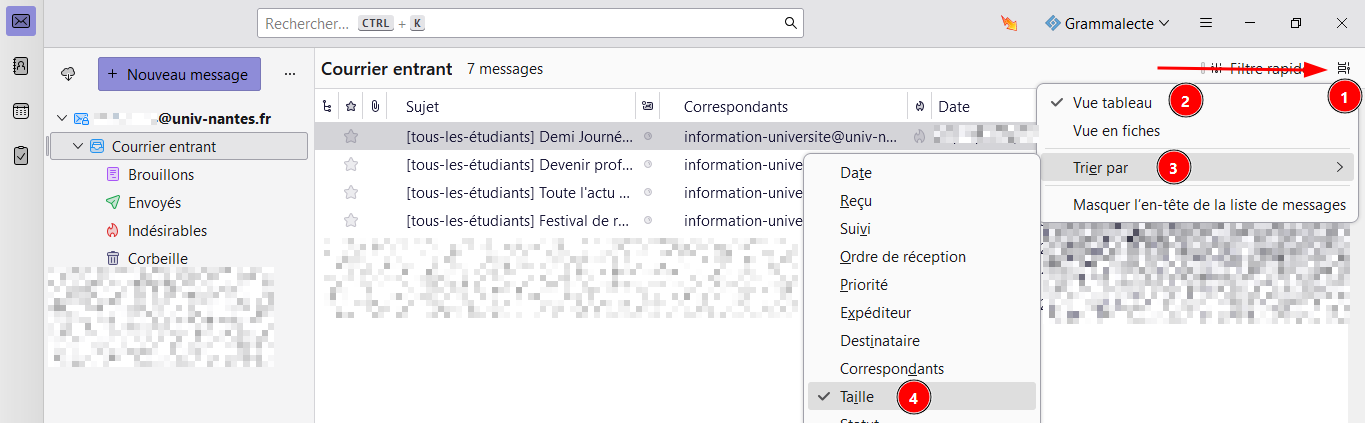 mailunique:documentation:thunderbird_affiche_taille.png