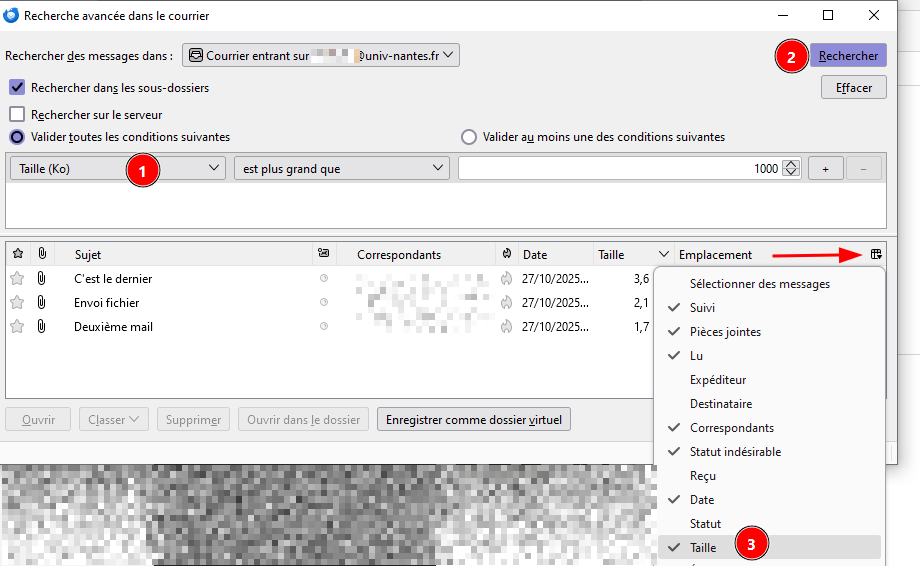 mailunique:documentation:thunderbird_recherche_taille.png