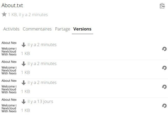 versions.png